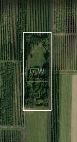 Działka Sprzedaż Gośniewice 1