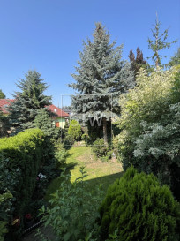Dom Sprzedaż Grójec